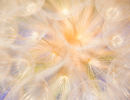 A Sacred Dream Encounter